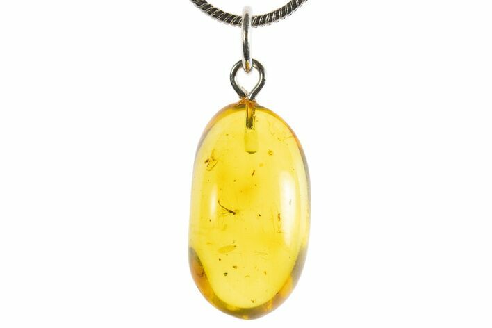 Polished Baltic Amber Pendant (Necklace) - Contains Fly! #339547